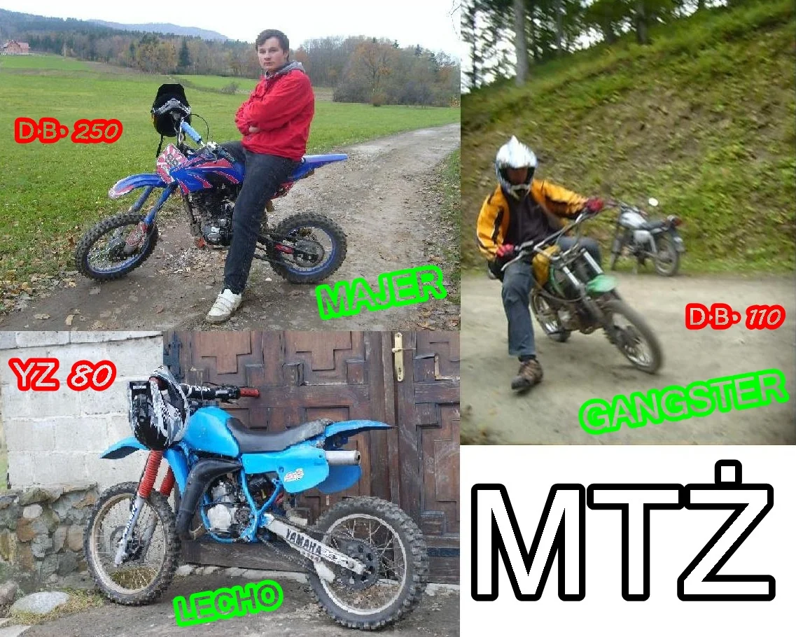 Zdjęcie z galerii